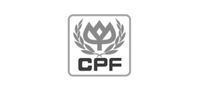 CPF.png